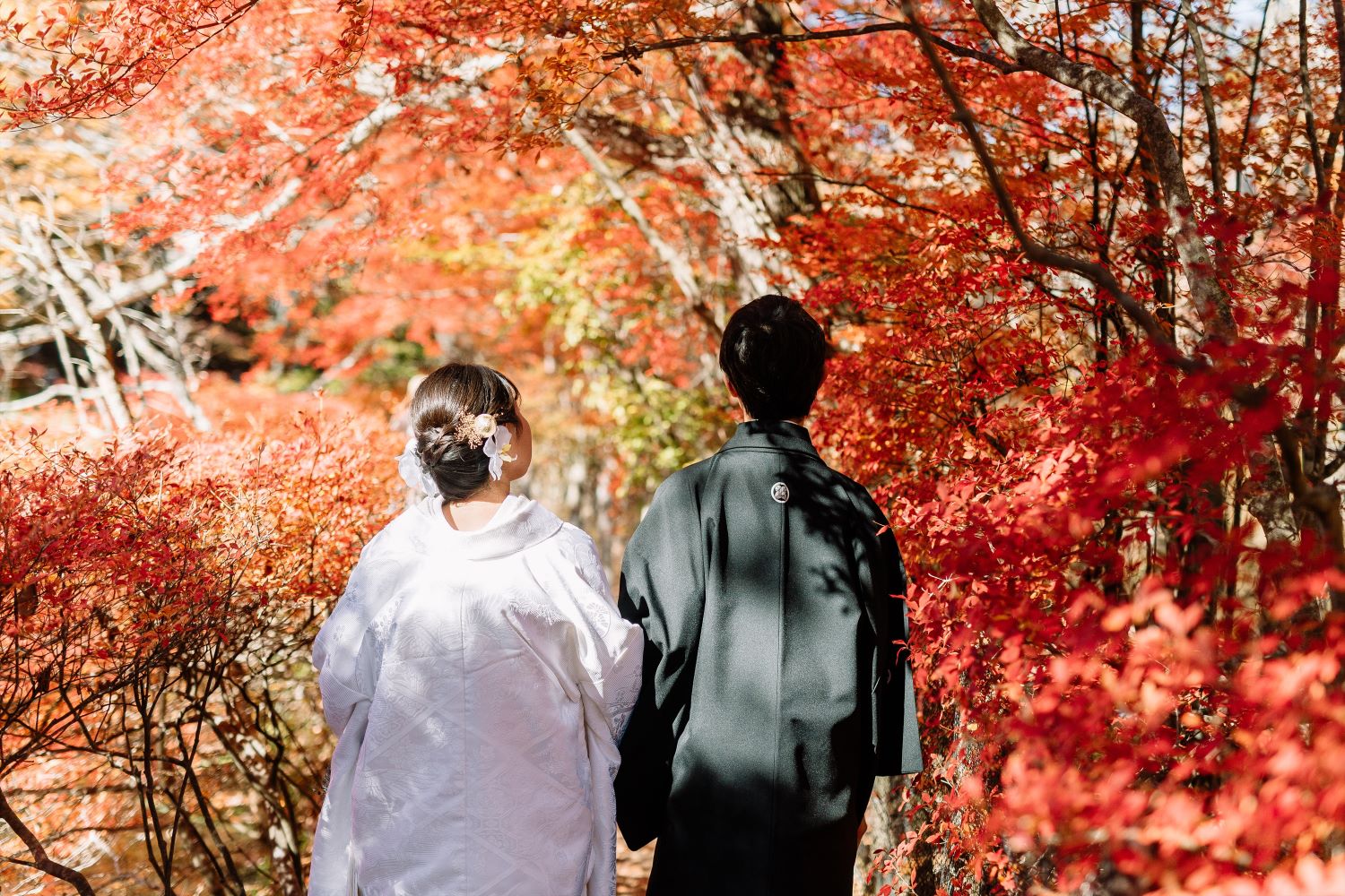 フォトプランのイメージ