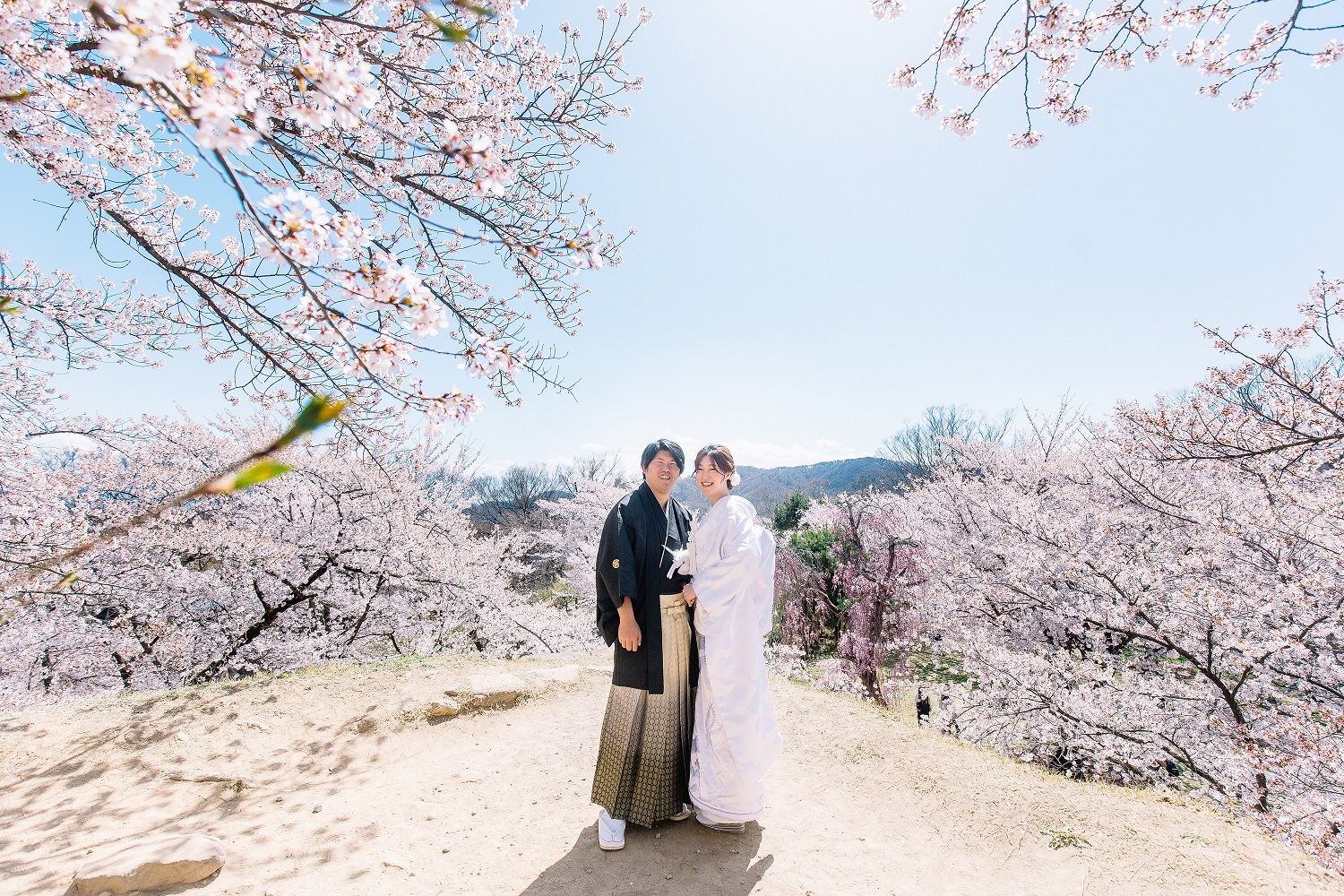 桜フォトプラン（和装）※期間限定