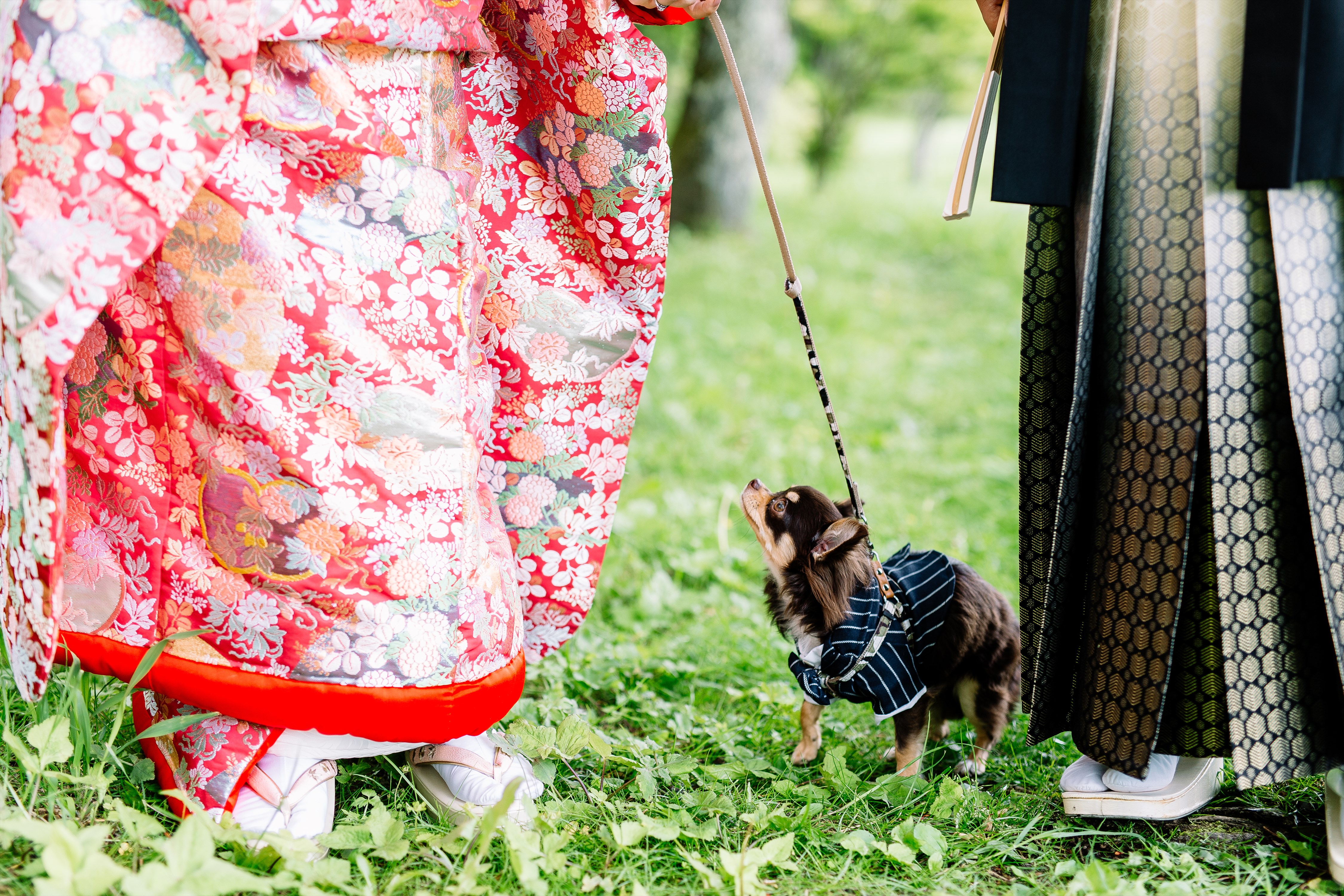 ペットと撮れる和装ロケーションフォトプラン